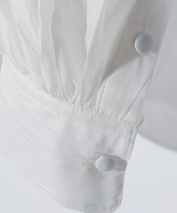 ETHEREAL SHEER PIRATE SHIRT